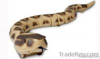 Full Function EP RC Rattlesnake [KokMax