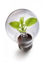 LED Bulb