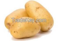 Fresh Potato