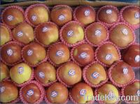 Red Star Apple