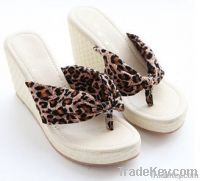 Women Slippers.