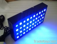 120W Dimmable Cree Lighting Reef Aquarium For Fish Tank