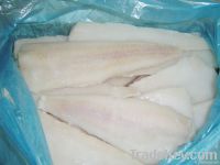 alaska pollock fillets