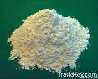 Isolated soy protein