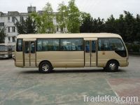 Coaster Bus 7.5 Meter Mini