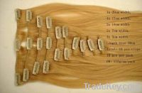 Clip-in Hair Extensions