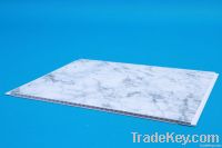 Ceiling Panel