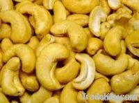Dried Fruits | W240 Cashew Nuts Suppliers | W320 Cashew Nut Exporters | Cashew Nut Suppliers | Cashew Nut Exporters | Cashew Nut Manufacturers | Cheap Cashew Nut | Wholesale Cashew Nut