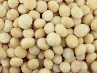 Quality Macadamia Nuts