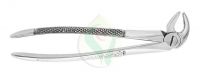 Extracting Forceps