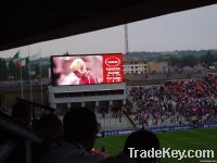 P25 Sport led display