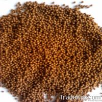 Fish Feed Machines