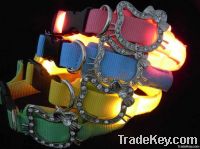 LED Pet collar