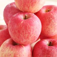 New Crop Fuji Apple