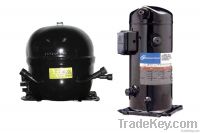 Compressor