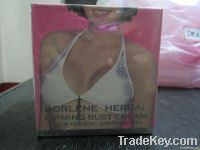 Dorlene Herbal Bust Cream