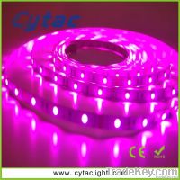 SMD3528 strip Light