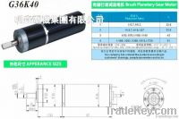 Gear Motor