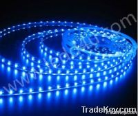 LED Flexible Light