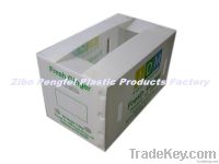 Agricultural products exporting use packing  container made of pp corrugated sheet.