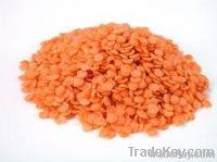 Red Lentils