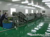 kimchi  processing line