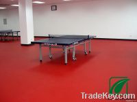 Super Durable Table Tennis Court Sport