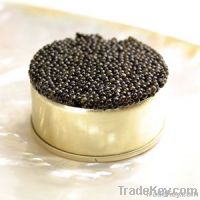 Caviar