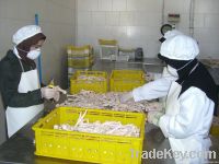 Frozen Chicken Meat | Chicken Feet | Chicken