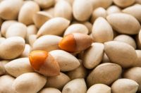 Ginkgo Nuts