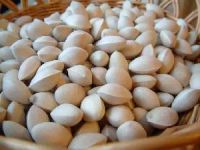 Agricultural Products  