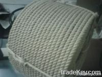 Sub: Supplying of JUTE ROPE, JUTE TAPE/ ROLL , JUTE MAT, JUTE WEBBING TAPE, JUTE YARN, COCO FIBER ROPE, COIR MAT from Dhaka, Bangladesh.