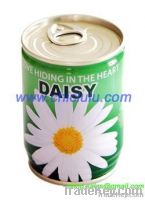 Mini Flower In Tin Can