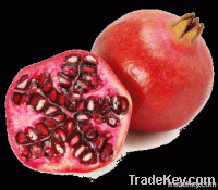 egyptian pomegranate