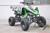 125cc/150cc/250cc atv for field work(QW-ATV-08)