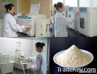 Vital Wheat Gluten