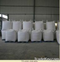 Food Grade Wheat Gluten