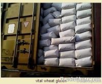 China Wheat Gluten