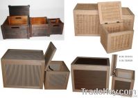 Home storage box and bins