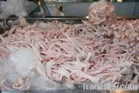  Export Chicken Paw | Chicken Feet Suppliers | Poultry Feet Exporters | Chicken Feets Traders | Processed Chicken Paw Buyers | Frozen Poultry Paw Wholesalers | Low Price Freeze Chicken Paw | Best Buy Chicken Paw | Buy Chicken Paw | Import Chicken Paw | Ch