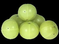 AMLA, INDIAN GOOSEBERY,UMBILICA OFFICINALLIS