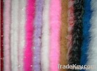turkey feather,