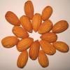 ALMOND (BADAM)