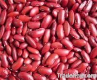 red kidney beans