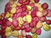 KOLA NUT POWDER