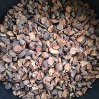 KOLA NUT (DRIED)