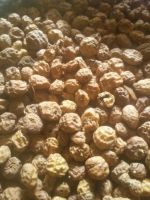 Tiger Nuts (mini, standard and jumbo)