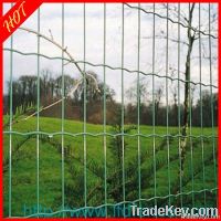 high quality Euro Garden Fence Supplier(manufactory)