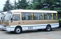 Coaster Mini Bus