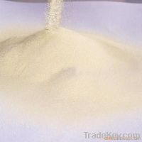 Acid Protease